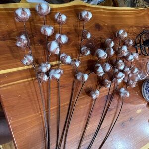 Cotton pick stems lot of 8